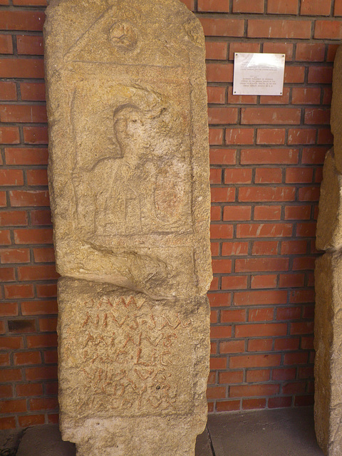 IMGP5943