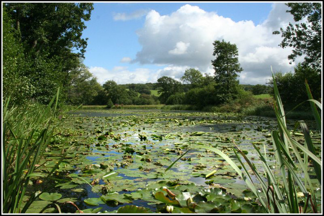 National Botanic Gardens