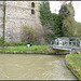 weir on the Castle Mill Stream