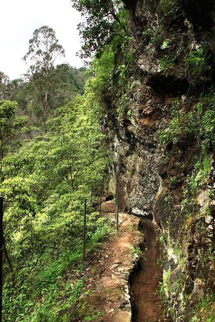 Levada walk