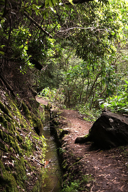 Levada walk