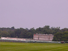 Course de chevaux à Chantilly