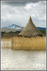 Llangorse Crannóg