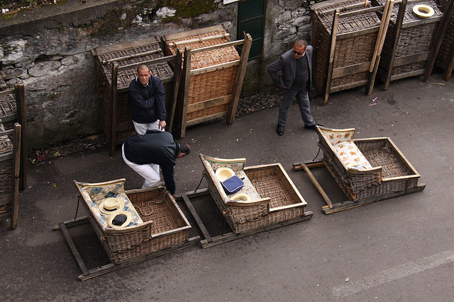 toboggan rides