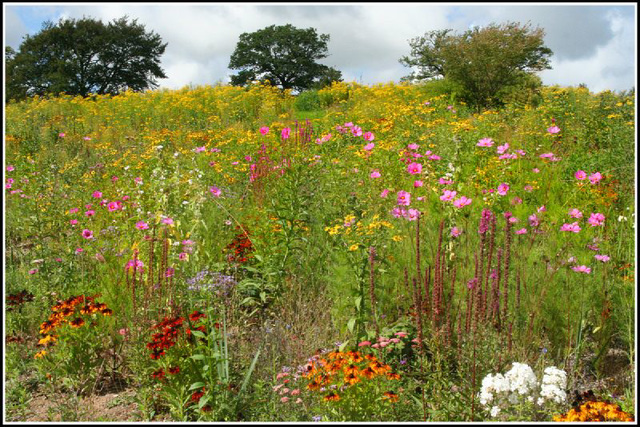 National Botanic Gardens