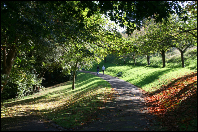 sunlit path