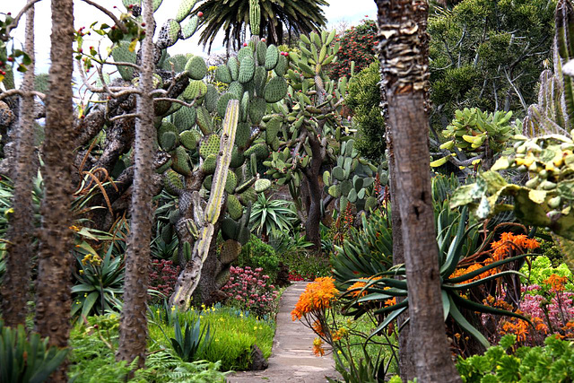 Botanical Gardens