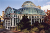 The Palm House in the Brooklyn Botanical Garden, Nov. 2006