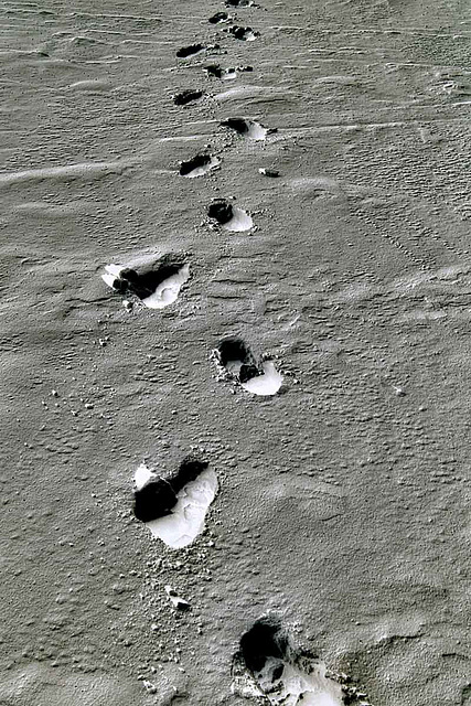 Footprints on the Moon