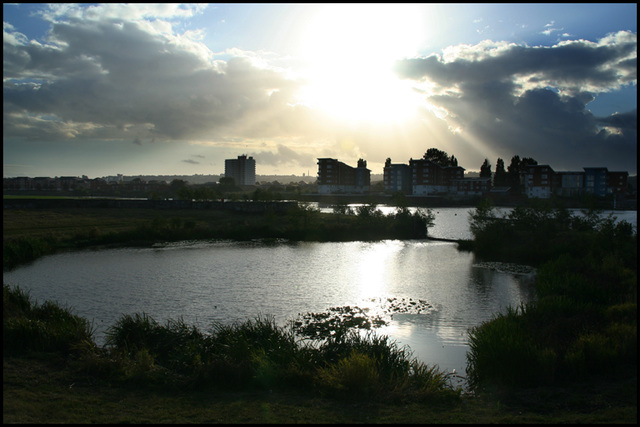 riverside pond