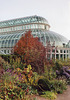 The Palm House at the Brooklyn Botanical Garden, Nov. 2006