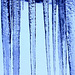 Icicles In Blue