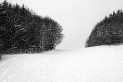 Winter Scenery_B&W