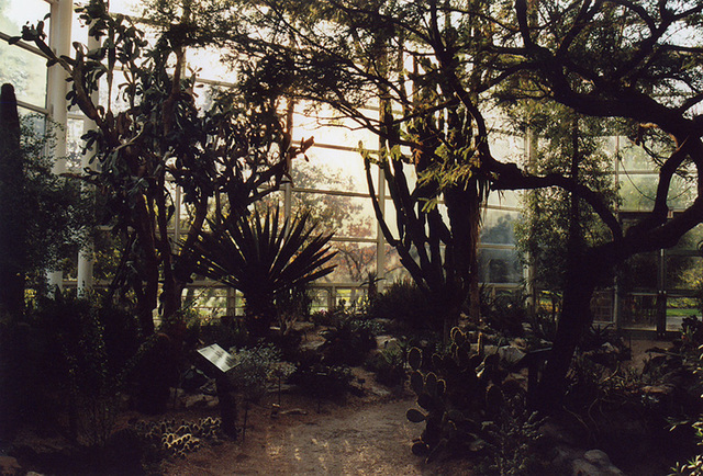 The Desert Pavilion of the Brooklyn Botanical Garden, Nov. 2006