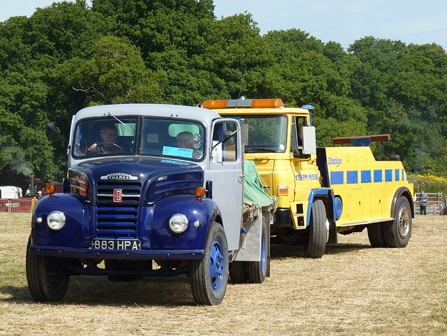 Commercial Vehicles at Netley Marsh (8) - 27 July 2013