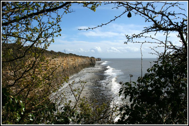 looking towards the point