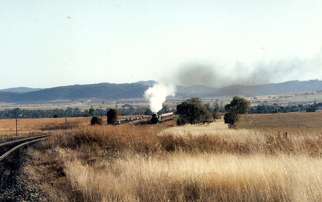 1991053801tamworth0001