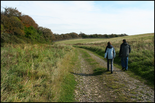 country lane