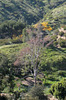 Griffith Park 1924a