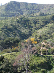 Griffith Park 1924b