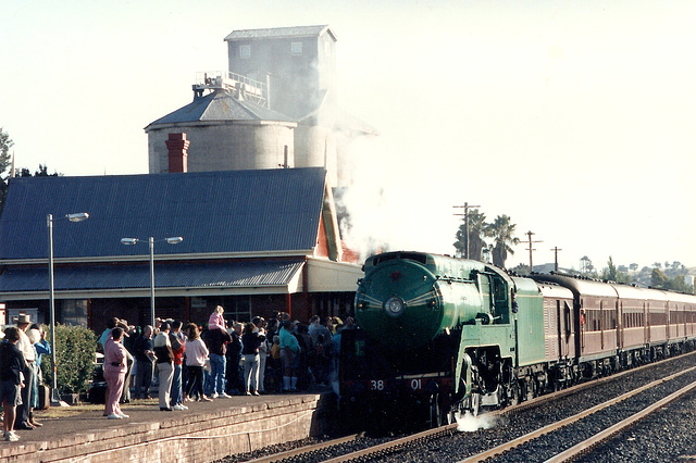 1991053801tamworth0004