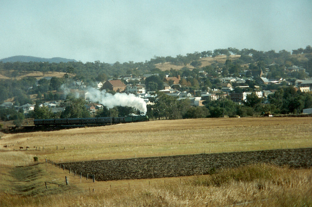 1991053801tamworth0007