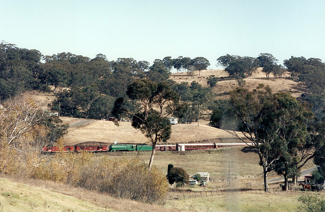 1991053801tamworth0012