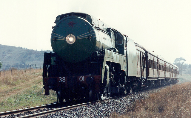 1991053801tamworth0017