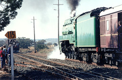 1991053801tamworth0016