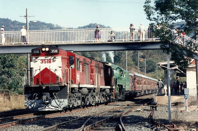 1991053801tamworth0015