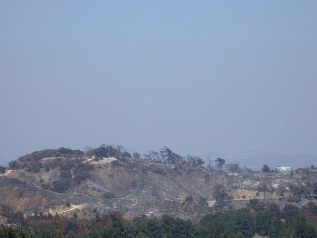 Griffith Park fire