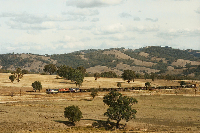 199400Tamwortharea0005