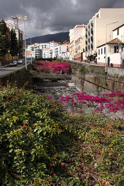 Funchal