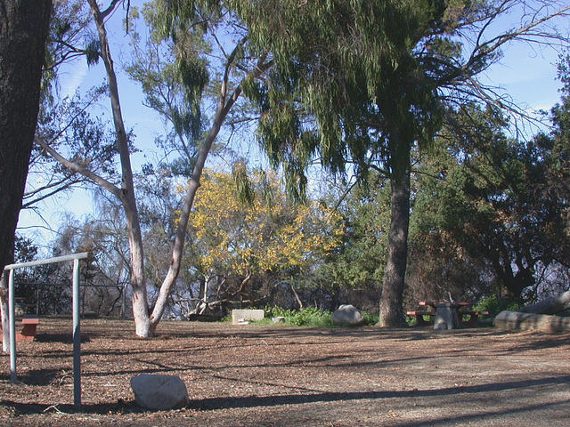 Griffith Park fire