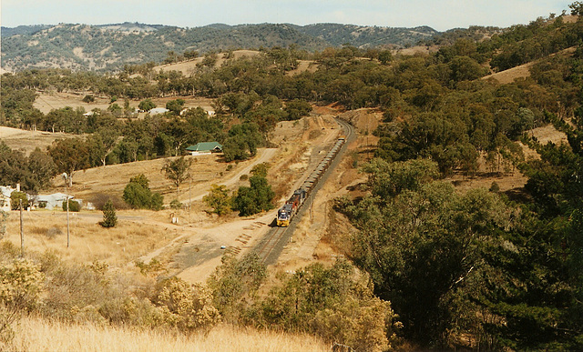 199400Tamwortharea0004