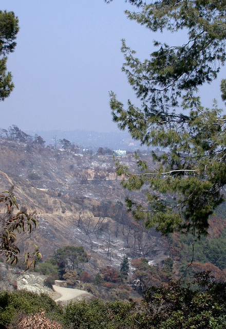 Griffith Park fire