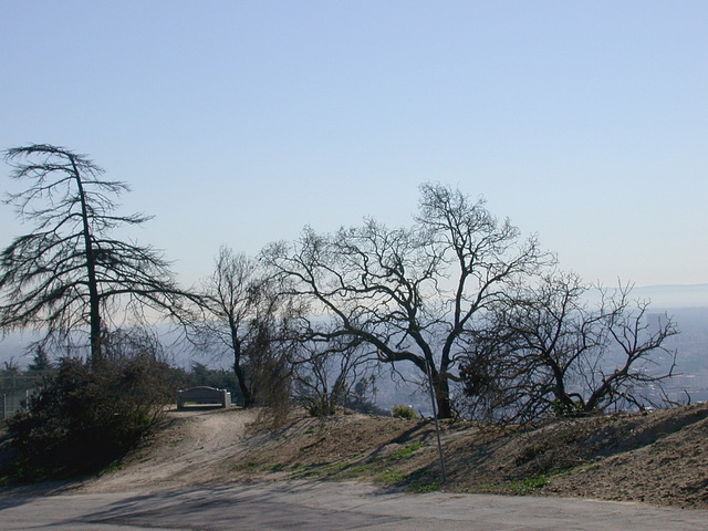 Griffith Park fire