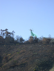 Griffith Park fire