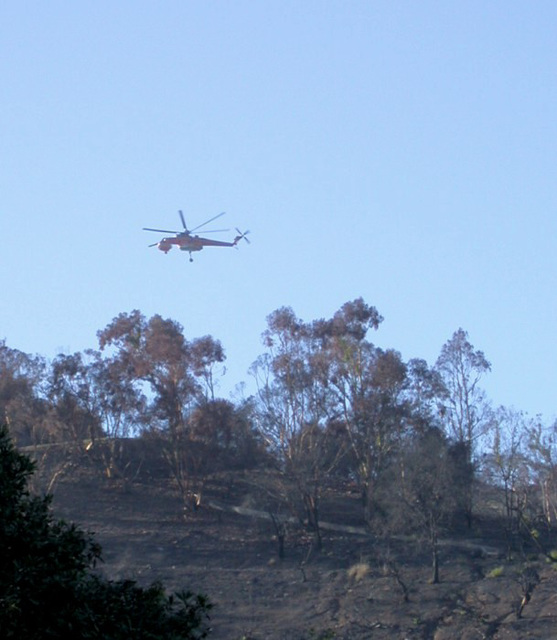 Griffith Park fire