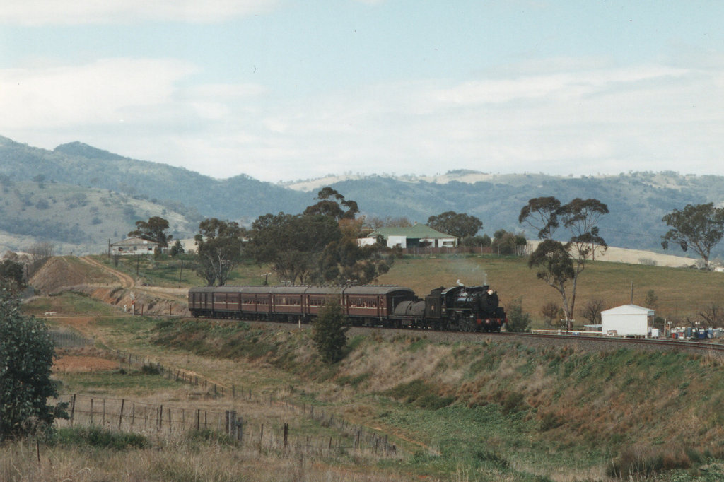 199506Tamworth59100003