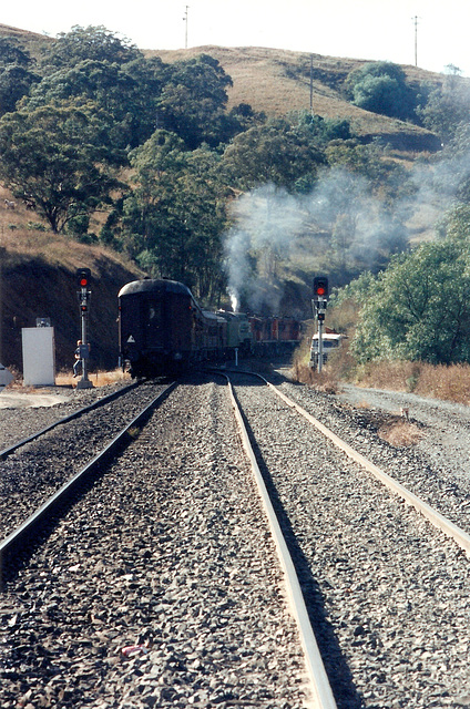 1991053801tamworth0014