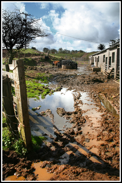 mud glorious mud