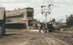 199506Tamworth59100007