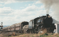 199506Tamworth59100009