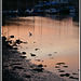 Egret fishing