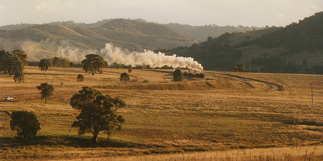 199706Tamworth59100004