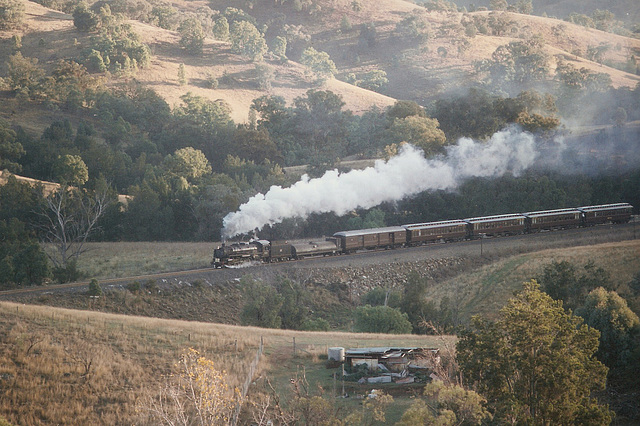 199706Tamworth59100003