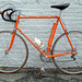 1974 Motobecane Team Champion