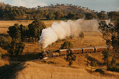 199706Tamworth59100008