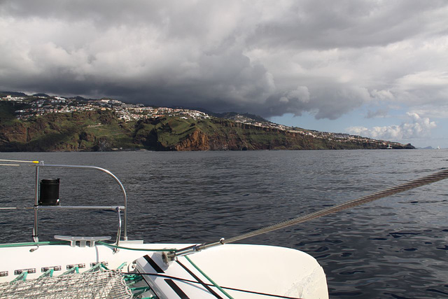 Madeira boat trip